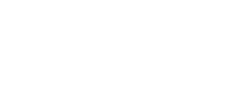 Logo_Bpifrance_negatif