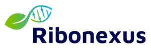 Logo startup Ribonexus